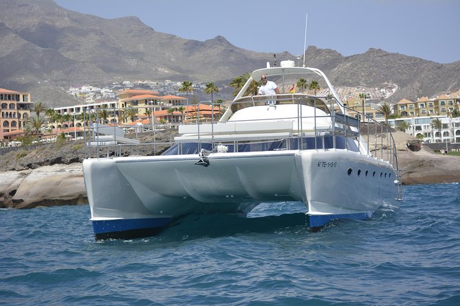 Whale Watching Catamaran Cruise with Transfer, Buffet by MC - The Sail Out: Deck Views, Wildlife Time, and a Captain’s Search