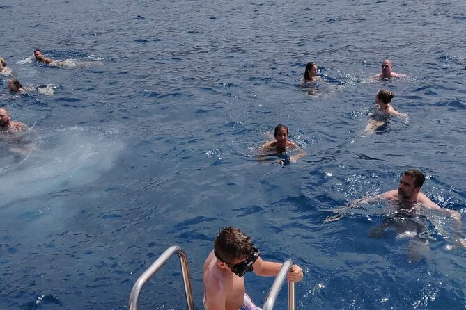 Whale Watching Catamaran in Costa Adeje (Including drinks & Sandwich) - Open Bar and Included Sandwiches: The Food Plan That Changes Your Mood