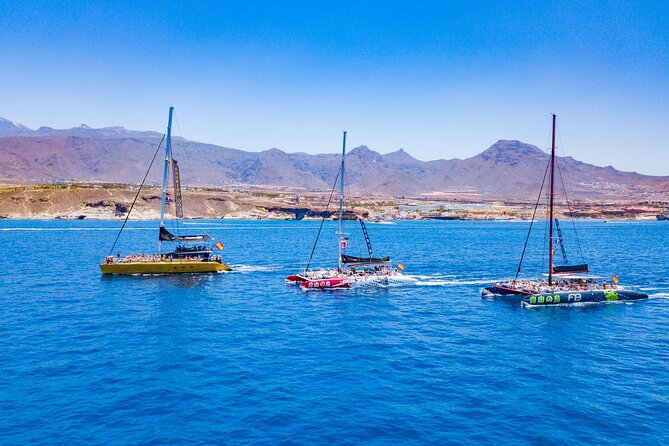 Whale Watching Catamaran in Costa Adeje (Including drinks & Sandwich) - Swim Time and Boat-Jumping: Fun, But Pack for Wind and Motion