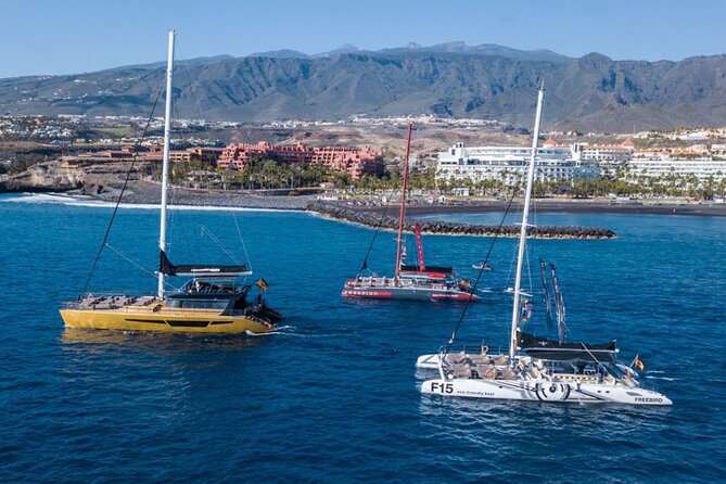 Whale Watching Catamaran in Costa Adeje (Including drinks & Sandwich) - Crew, Commentary, and the Photo-Photo Sellers on Board