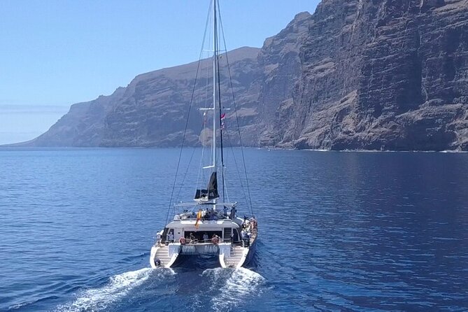 Whale Watching Catamaran to Los Gigantes & Masca (Including drinks & warm lunch) - Quick take: What matters most on this tour