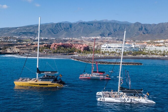 Whale Watching Catamaran to Los Gigantes & Masca (Including drinks & warm lunch) - Lunch and drinks that are actually included: what you’re signing up for