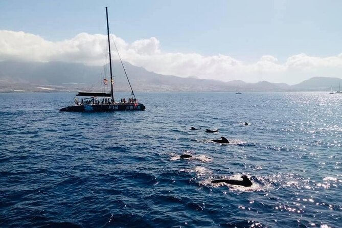 Whale Watching Catamaran to Los Gigantes & Masca (Including drinks & warm lunch) - Deck time, sun beds, and staying comfortable in real Atlantic wind