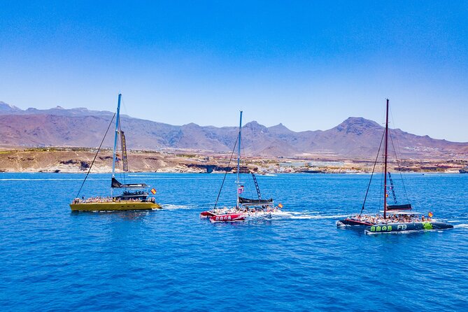 Whale Watching Catamaran to Los Gigantes & Masca (Including drinks & warm lunch) - Crew, commentary, and the big-boat atmosphere (160 people max)