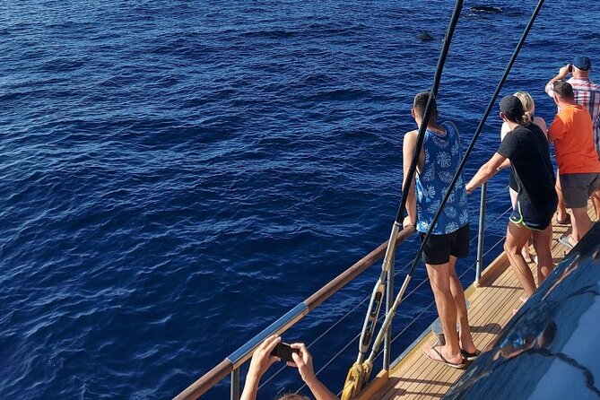 Whale Watching Catamaran to Los Gigantes & Masca (Including drinks & warm lunch) - Price and value: why $72 can feel fair (or not)