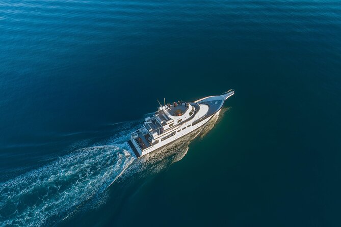 Whale Watching Cruise on a Yacht in Reykjavik - From Old Harbour House to the skyline: the sailing setup