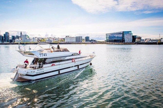 Whale Watching & Dolphin Yacht Cruise - Key points worth knowing before you go