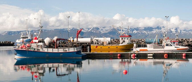 Whale Watching on a Traditional Oak Sailing Ship from Husavik - 5 key points that make this Husavik whale watching tour different