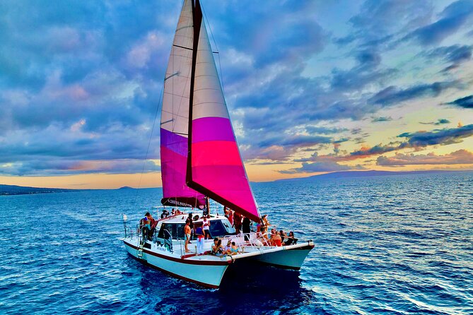 Whale Watching Tour on a Charming Hawaiian Catamaran From Maalaea - How the 2.5 hours usually play out on the water