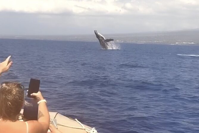 Whale Watching Tour on a Charming Hawaiian Catamaran From Maalaea - The whale calendar: what humpbacks are doing in Maui winter