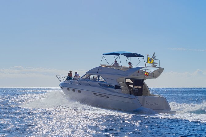 Whales and Dolphins excursion on a Luxury Yacht in Canary Islands - Key highlights to know before you go