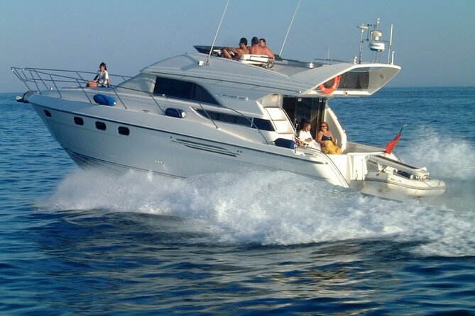 Whales and Dolphins excursion on a Luxury Yacht in Canary Islands - Cruising along Tenerife’s coast with Teide views