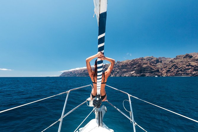 Whales & Dolphins watching in exclusive sailboat - Whale Watching in Tenerife, Minus the Big-Crowd Chaos