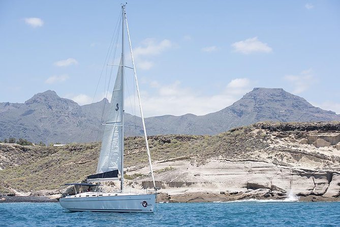Whales & Dolphins watching in exclusive sailboat - Skippers, Crew, and Respectful Viewing That Actually Matters