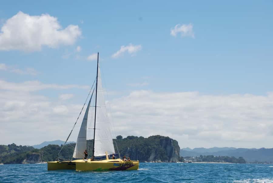 Whitianga: Sailing Trip to Cathedral Cove - What’s included: coffee, drinks, fruit, and real comfort