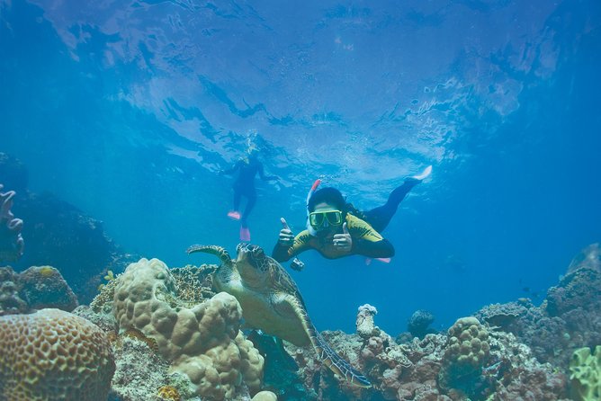 Whitsunday Islands Sail, SUP & Snorkel Tour- Small group - Price and logistics: what $156.72 really buys