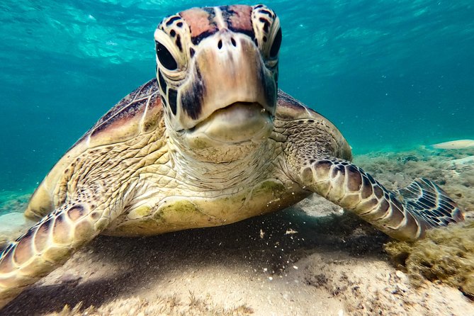 Whitsunday Islands Sail, SUP & Snorkel Tour- Small group - Whitsunday Islands time: where you’ll anchor and why it matters