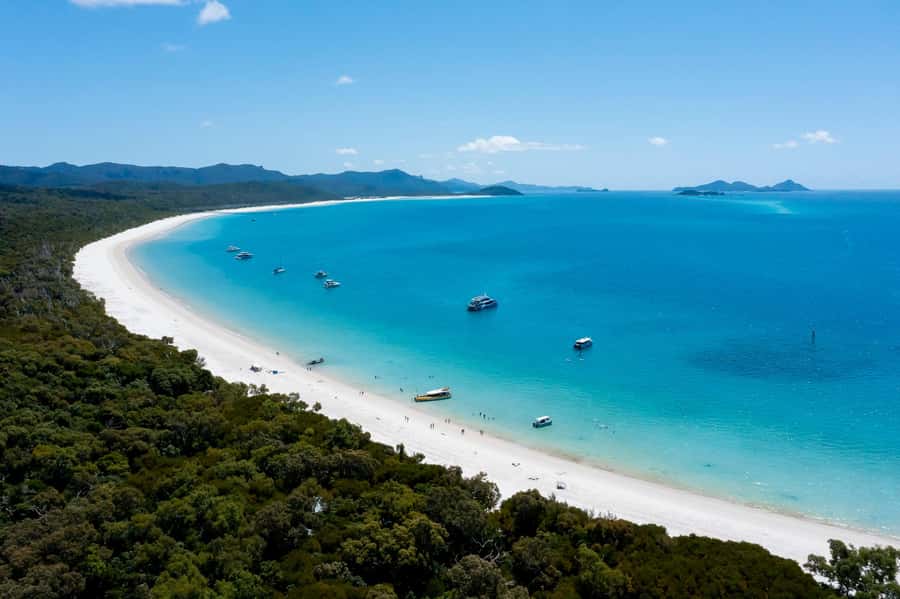 Whitsundays: 2 days 1 night Sailing, Snorkeling, Whitehaven - Day 1 flow: rainforest walk, reef time, and sunset deck vibes