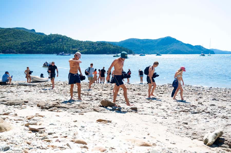 Whitsundays: 2 days 1 night Sailing, Snorkeling, Whitehaven - Sleeping on a sailboat: what to expect when comfort isn’t the main feature