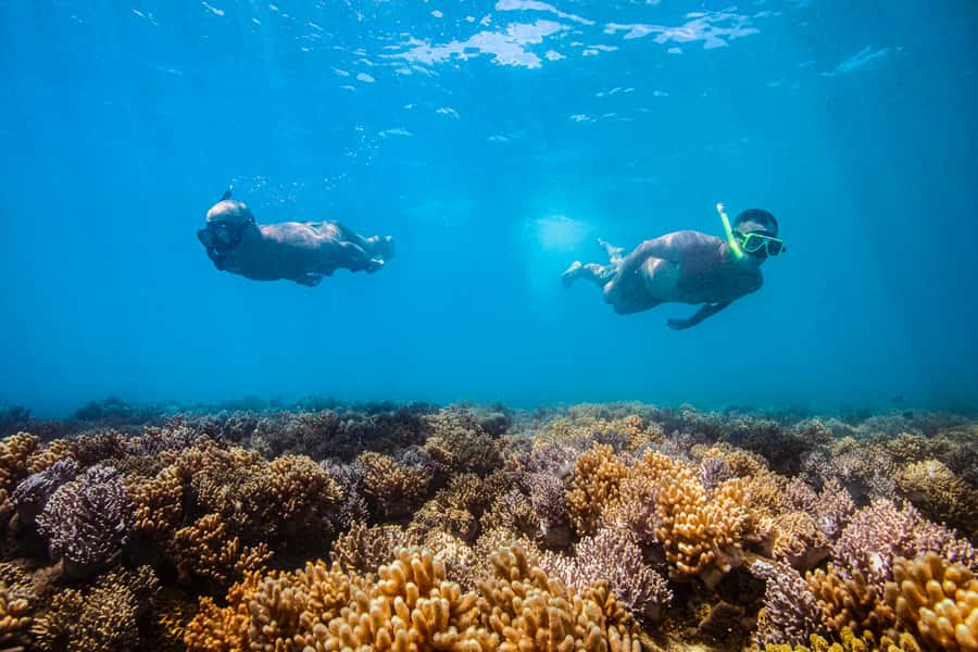 Whitsundays Sailing & Snorkelling Day Tour – All Inclusive - Who Should Book This, and Who Should Skip It