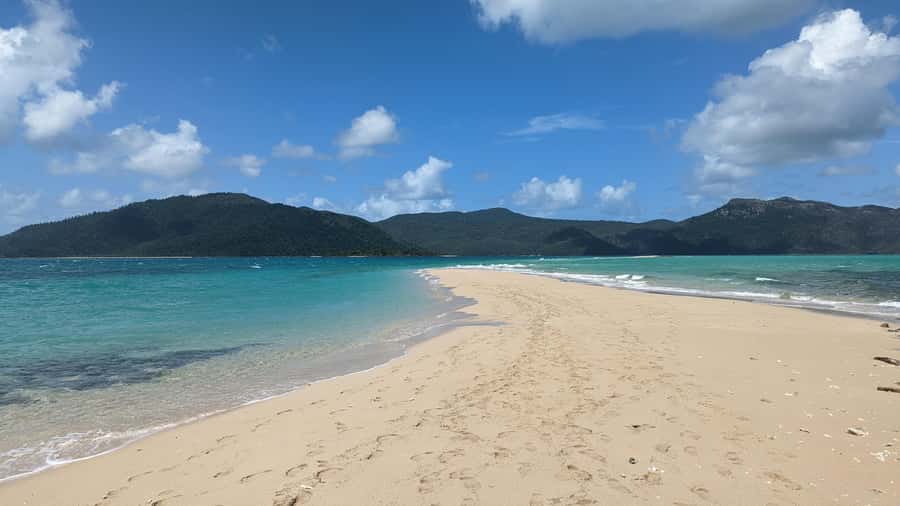 Whitsundays Sailing & Snorkelling Day Tour – All Inclusive - Sailing Back for Sunset: Drinks, Music, and Front-Row Views