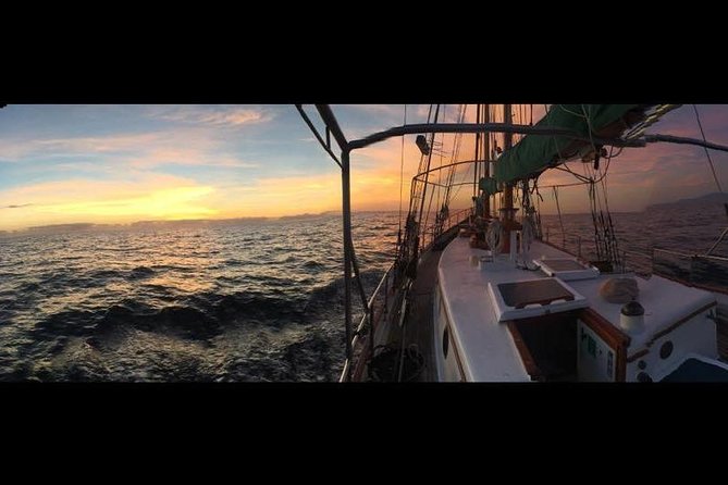 Whitsundays Sunset Sailing Cruise - Stop 1: Airlie Beach at twilight, with a champagne-style toast