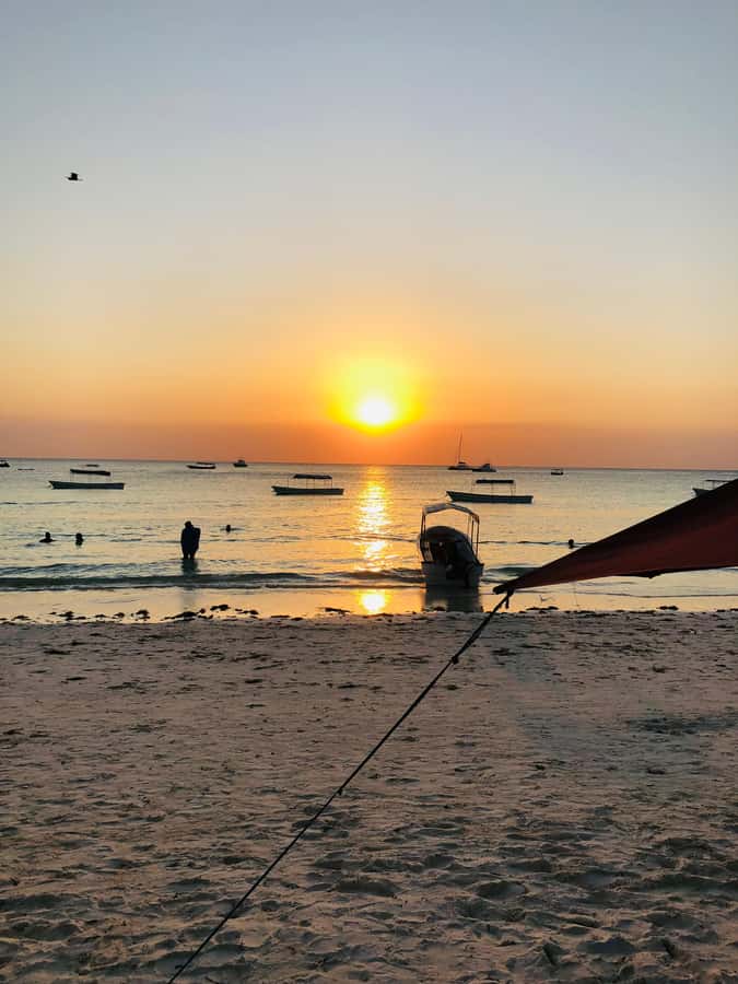 Zanzibar: Sunset Dhow Cruise - Who the cruise suits best (and who should skip it)